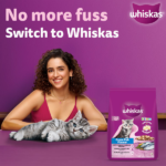 Whiskas Ocean Fish Kitten/Mother and Baby Cat Dry Food image 3