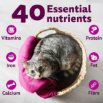 Whiskas Rohu Fish Flavour Adult Cat Dry Food image 3