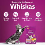 Whiskas Rohu Fish Flavour Adult Cat Dry Food image 4