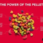 ZuPreem Fruit Blend Bird Food for Parrots and Conures image 4