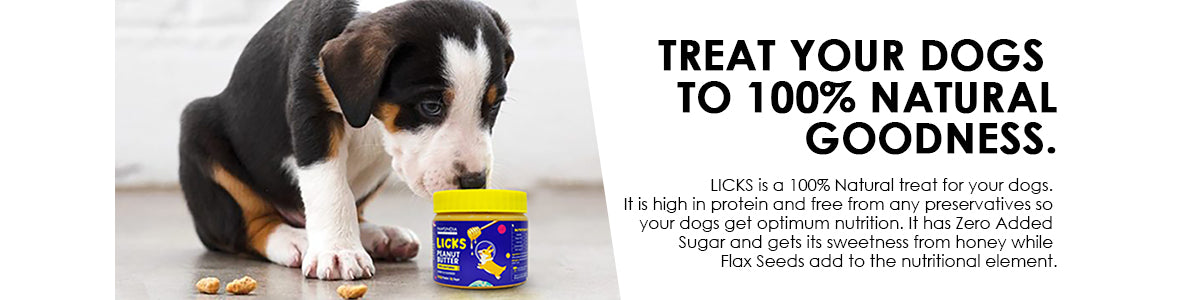 Peanut butter for dogs