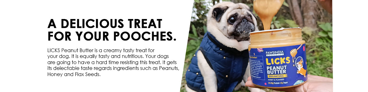 Peanut butter for dogs