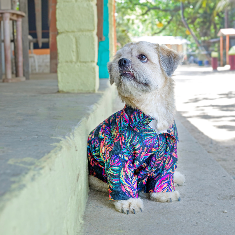 15buttons Neon Tropical Shirt for Dogs image 4