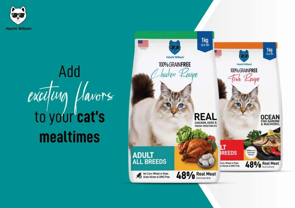 Hachi Wilson Grain Free Chicken Adult Cat Dry Food image 3