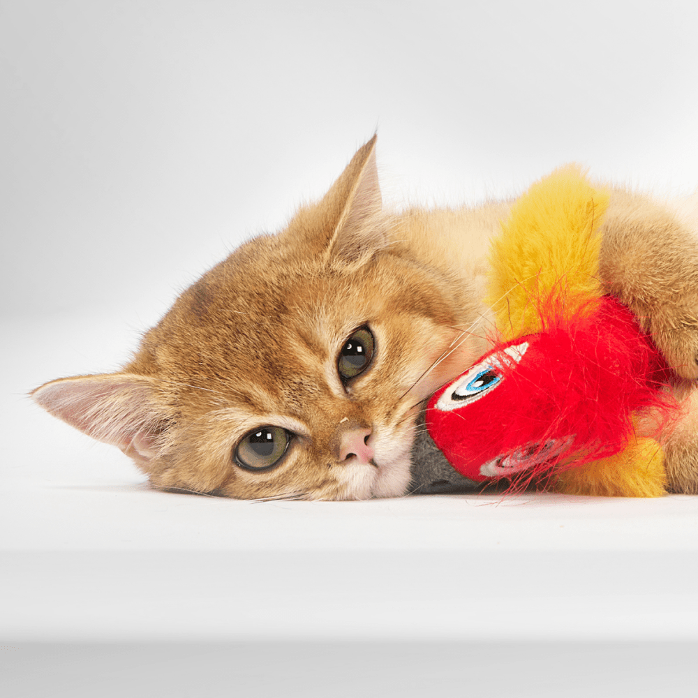 Barkbutler x Fofos Parrot with Catnip Balls Interactive Toy for Cats (Red) image 8