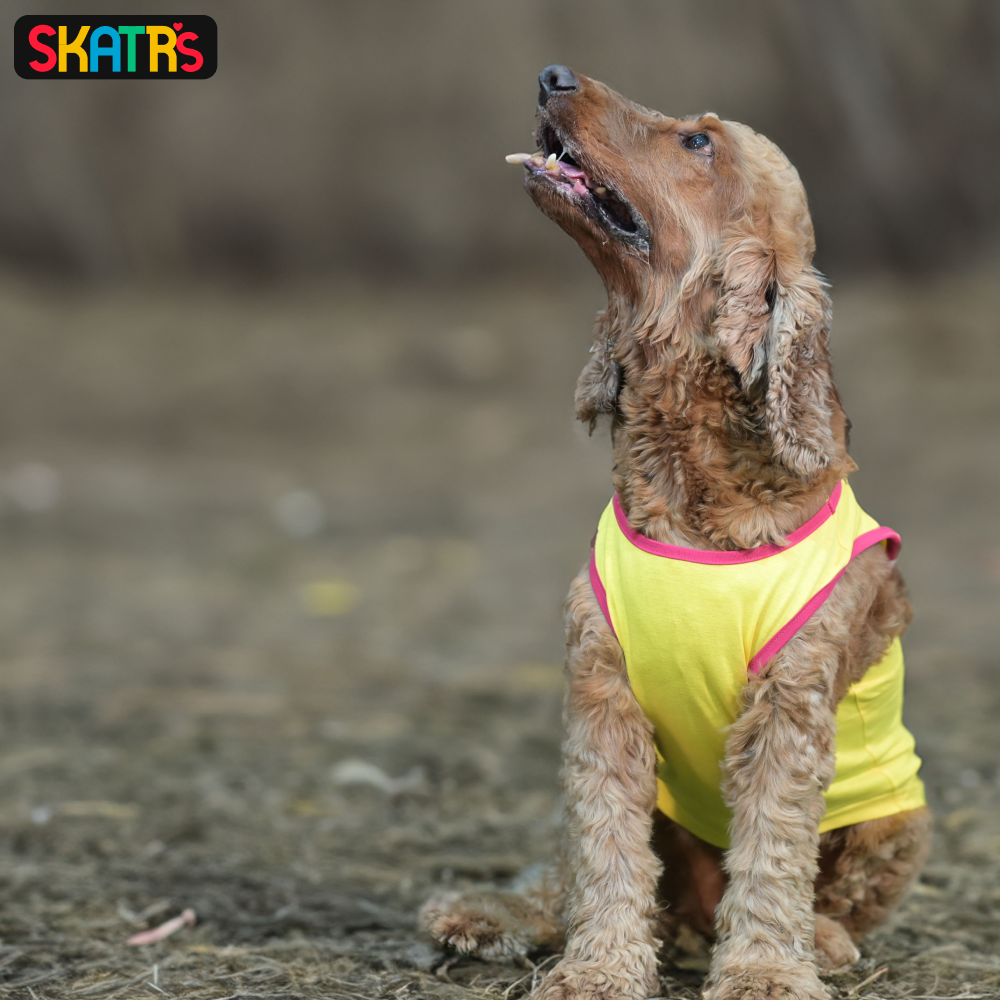 Skatrs No Tricks Only Treats Printed Summer Cotton T Shirt Dogs and Cats (Yellow) image 5