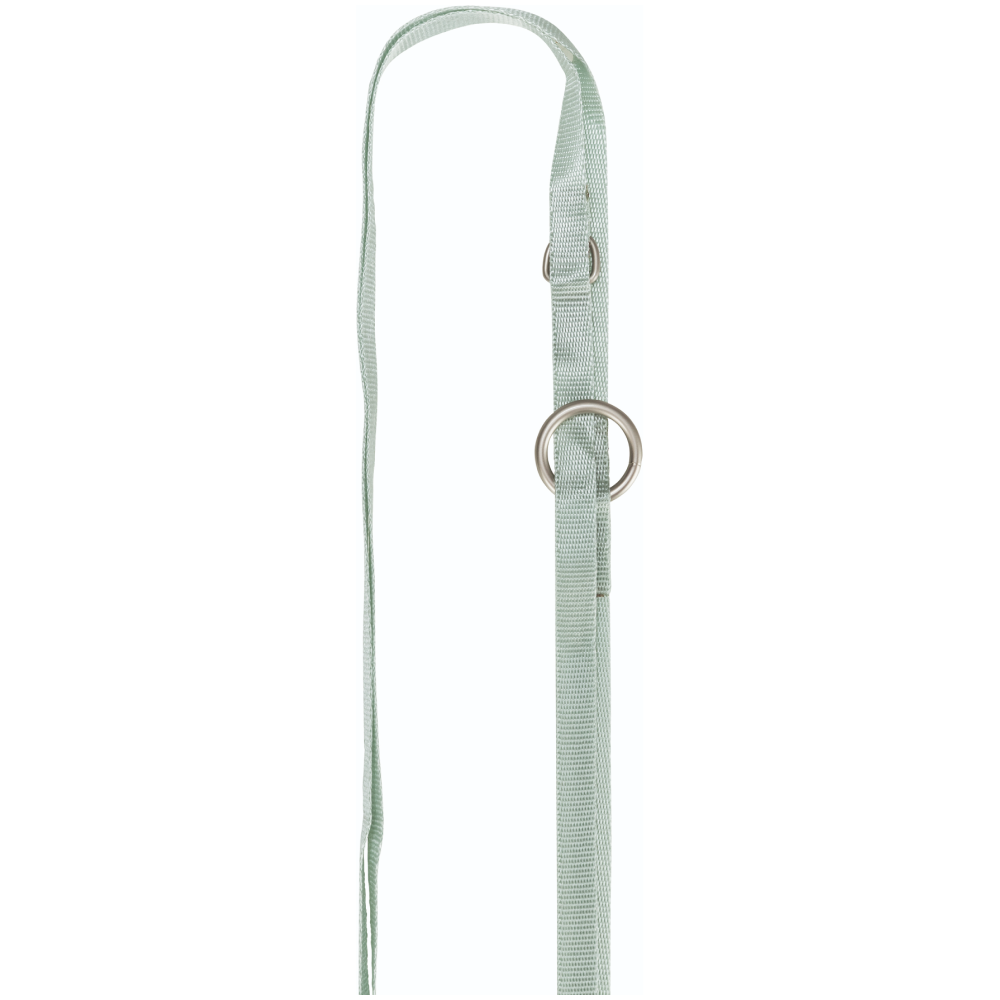 Trixie Junior Harness with Leash for Dogs (Mint) image 3