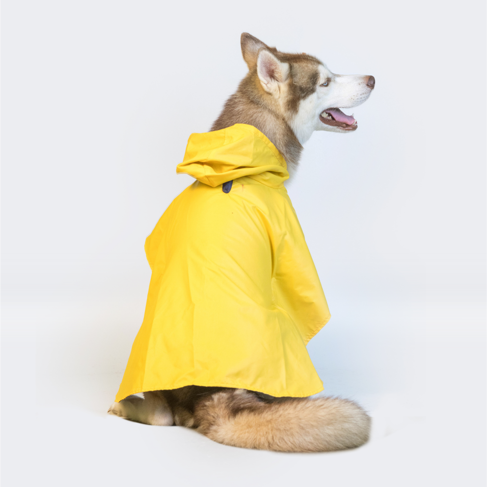 Pet Set Go Cape Style Raincoat for Dogs (Yellow) image 9