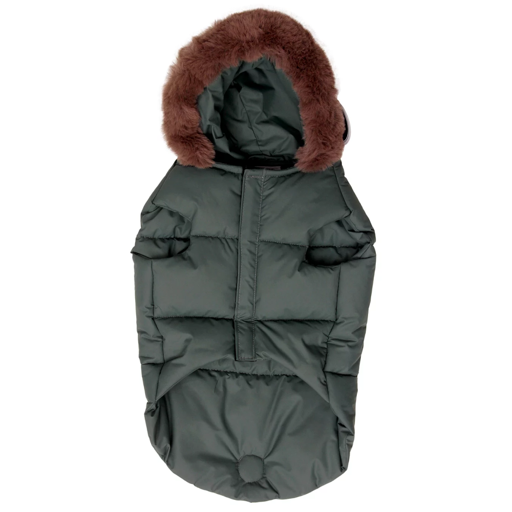 Pet Snugs Winter Jackets for Dogs (Green) image 1