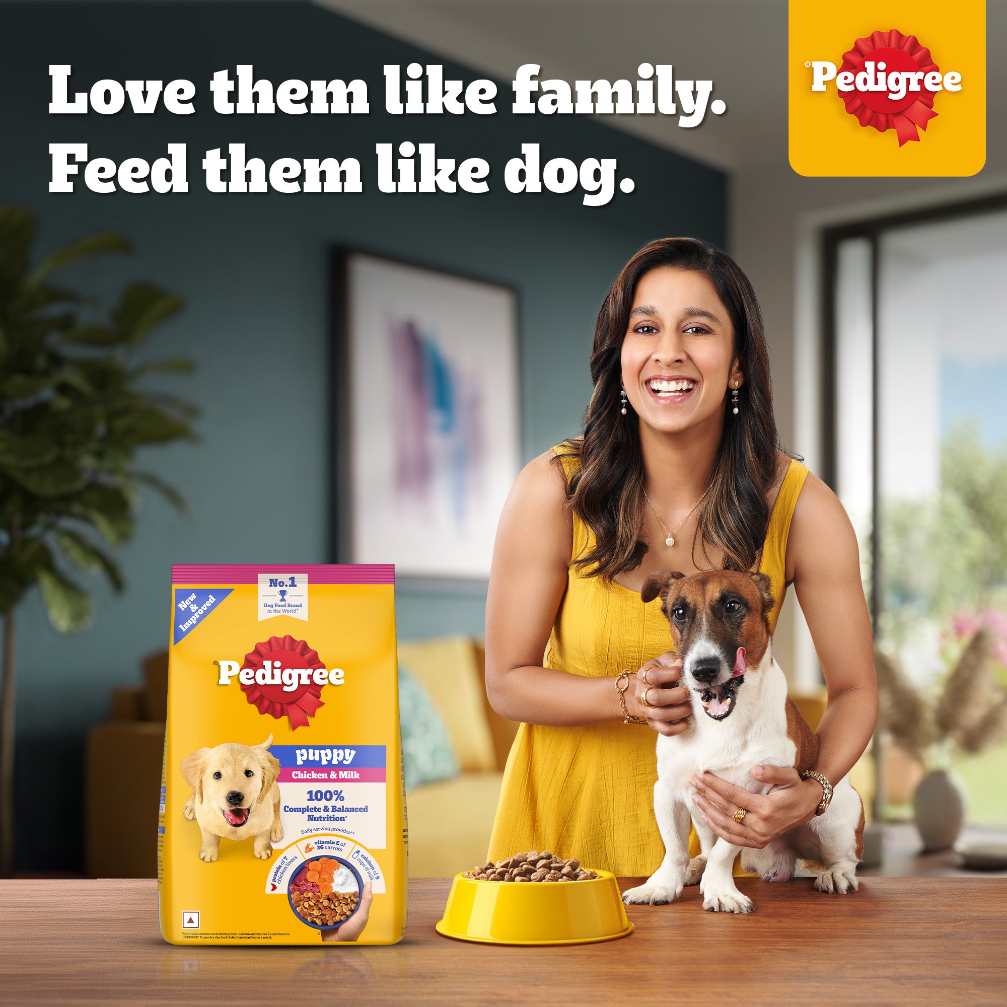 Pedigree Chicken and Milk Puppy Dog Dry Food image 6