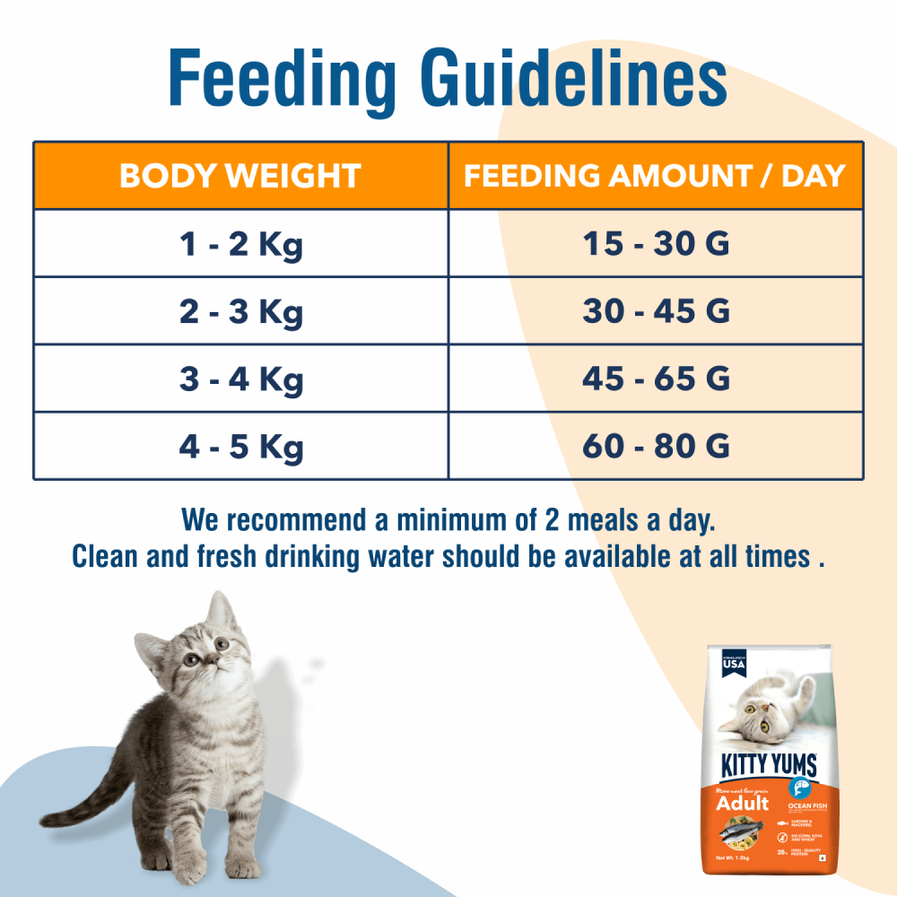 Kitty Yums Ocean Fish Adult (1+ years) Cat Dry Food image 4