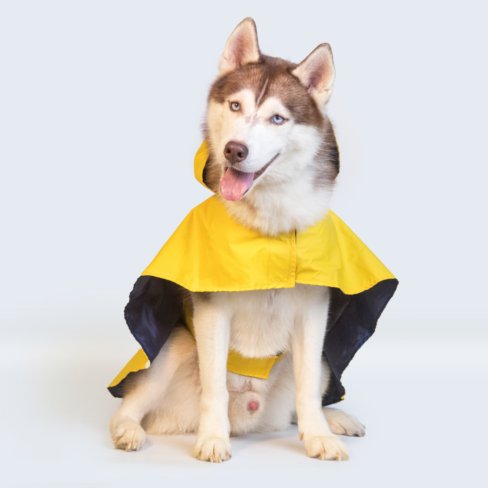 Pet Set Go Cape Style Raincoat for Dogs (Yellow) image 10