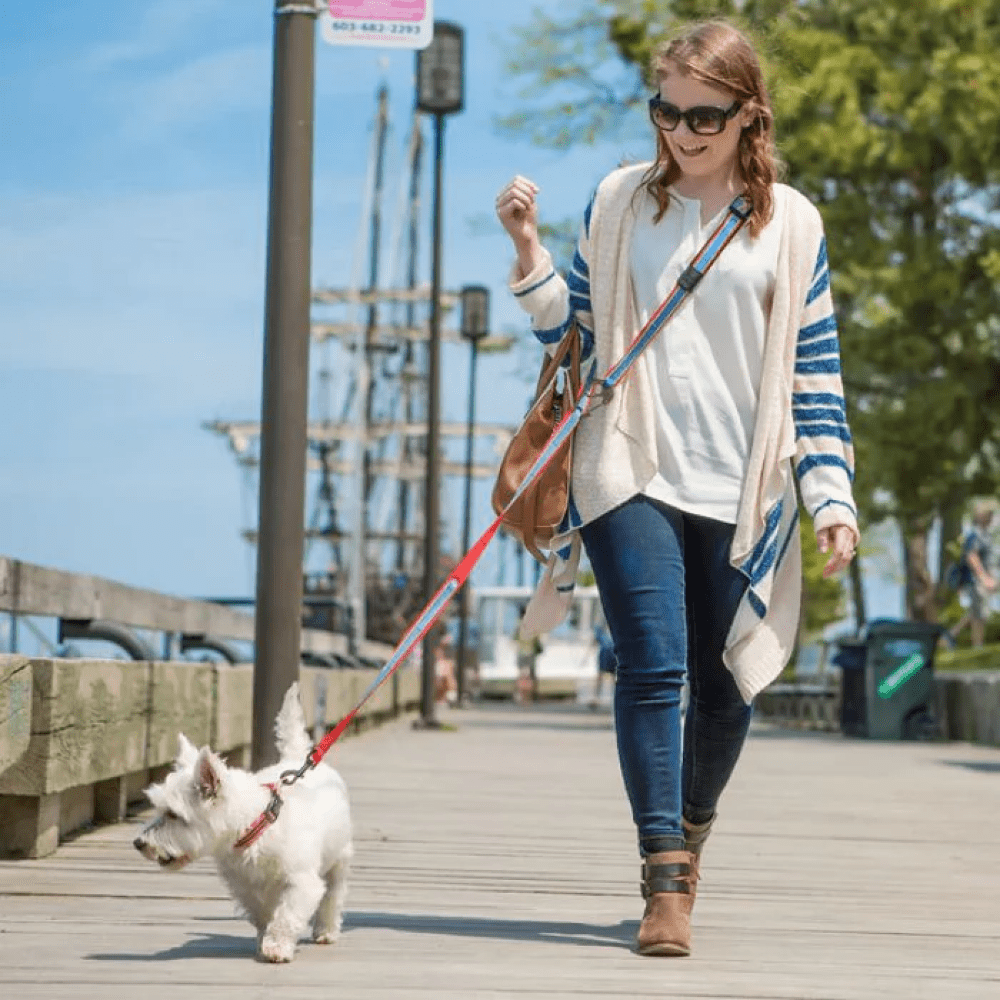 Kurgo Quantum 6 in 1 Dog Reflective Leash (Coastal Blue) image 6