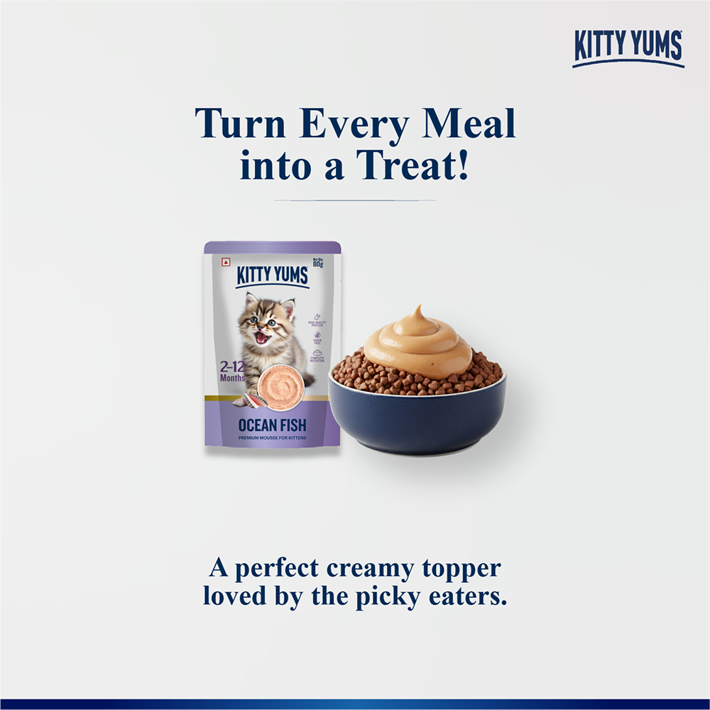 Kitty Yum Ocean Fish Mousse Kitten Cat Wet Food image 7