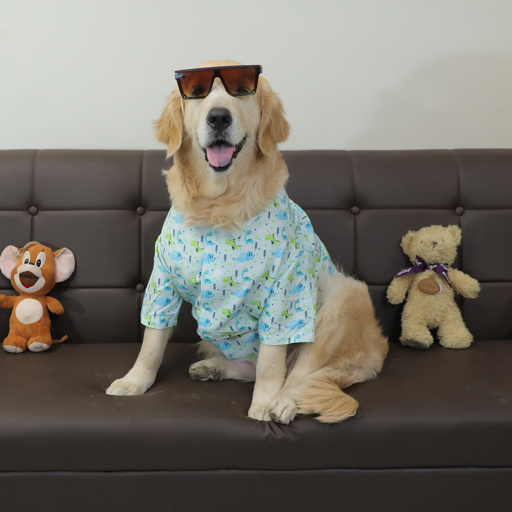 15buttons Jungle Gym Shirt for Dogs image 4