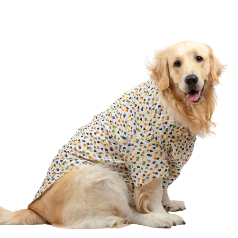 Up4pets Dreamy Hearts Cotton Shirts for Dogs (Orange) image 3