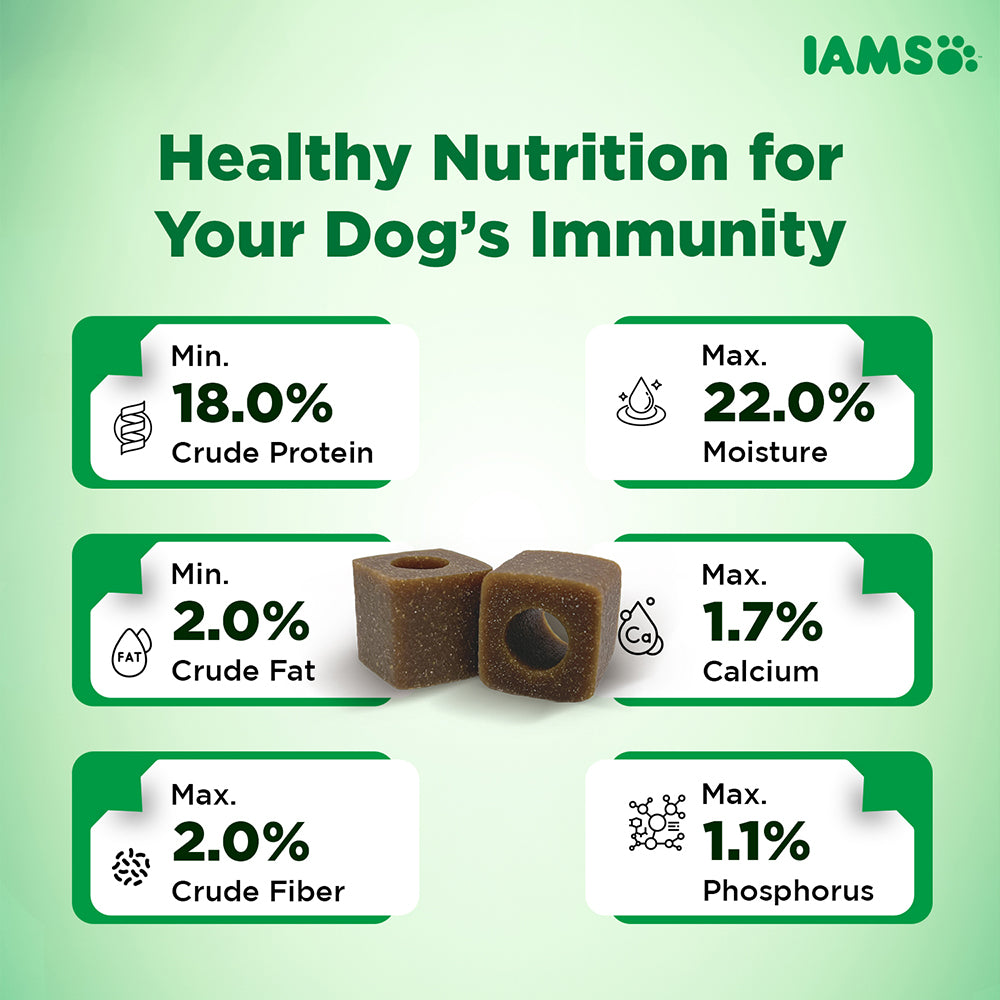 IAMS Proactive Health Dog Supplement For Healthy Immune System image 6