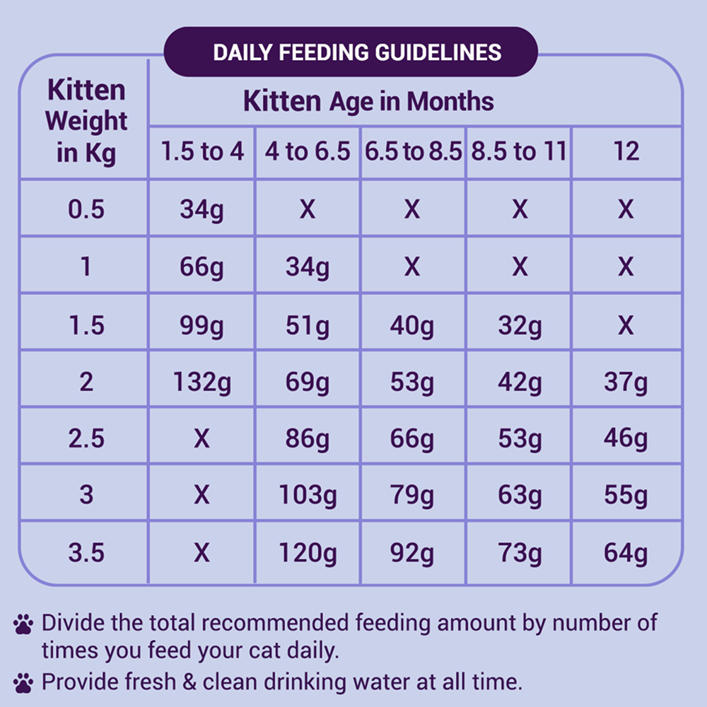 Purrfeto Chicken and Rice Kitten Cat Dry Food image 4