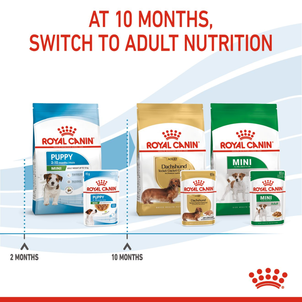 Royal Canin Mini Puppy Dog Wet Food image 6