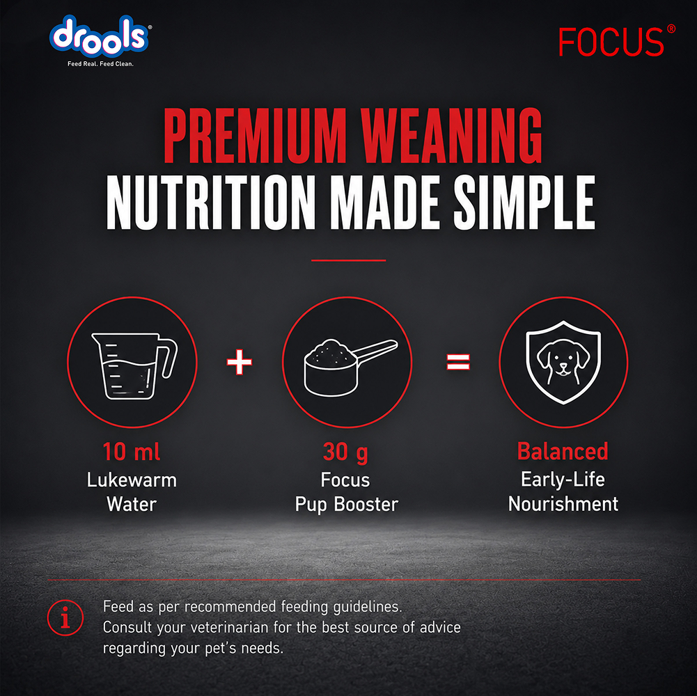 Drools Focus Pup Booster Puppy Weaning Diet for All Breeds (300g) image 7