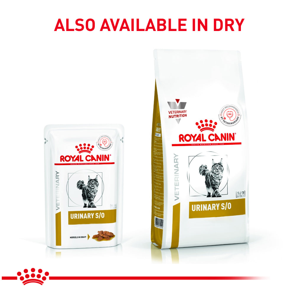 Royal Canin Veterinary Diet Urinary S/O Cat Chicken Wet Food image 3