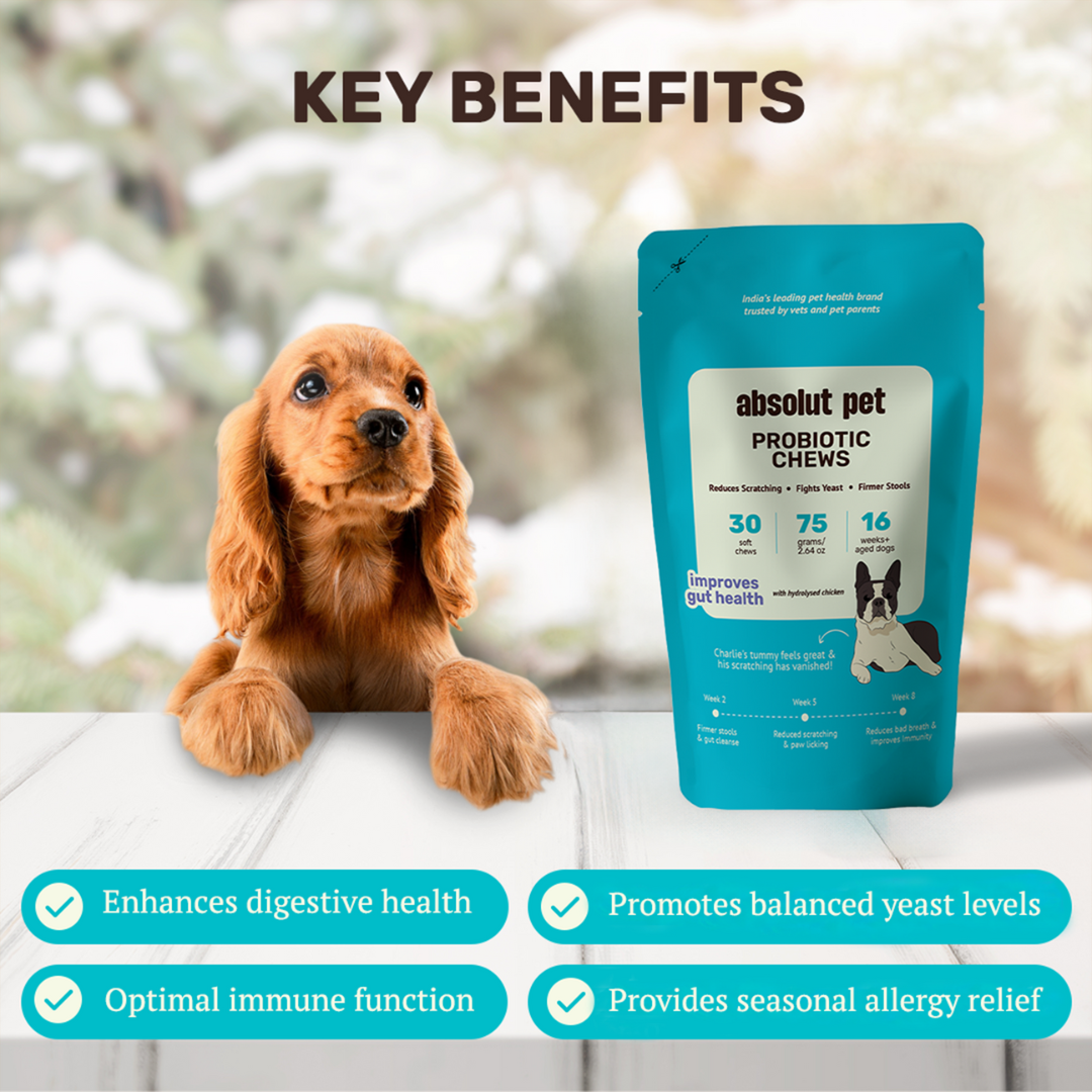 Absolut Pet Probiotics Gut & Hip, Joint Care & Skin & Coat with Collagen Health Dog Supplements Combo image 3