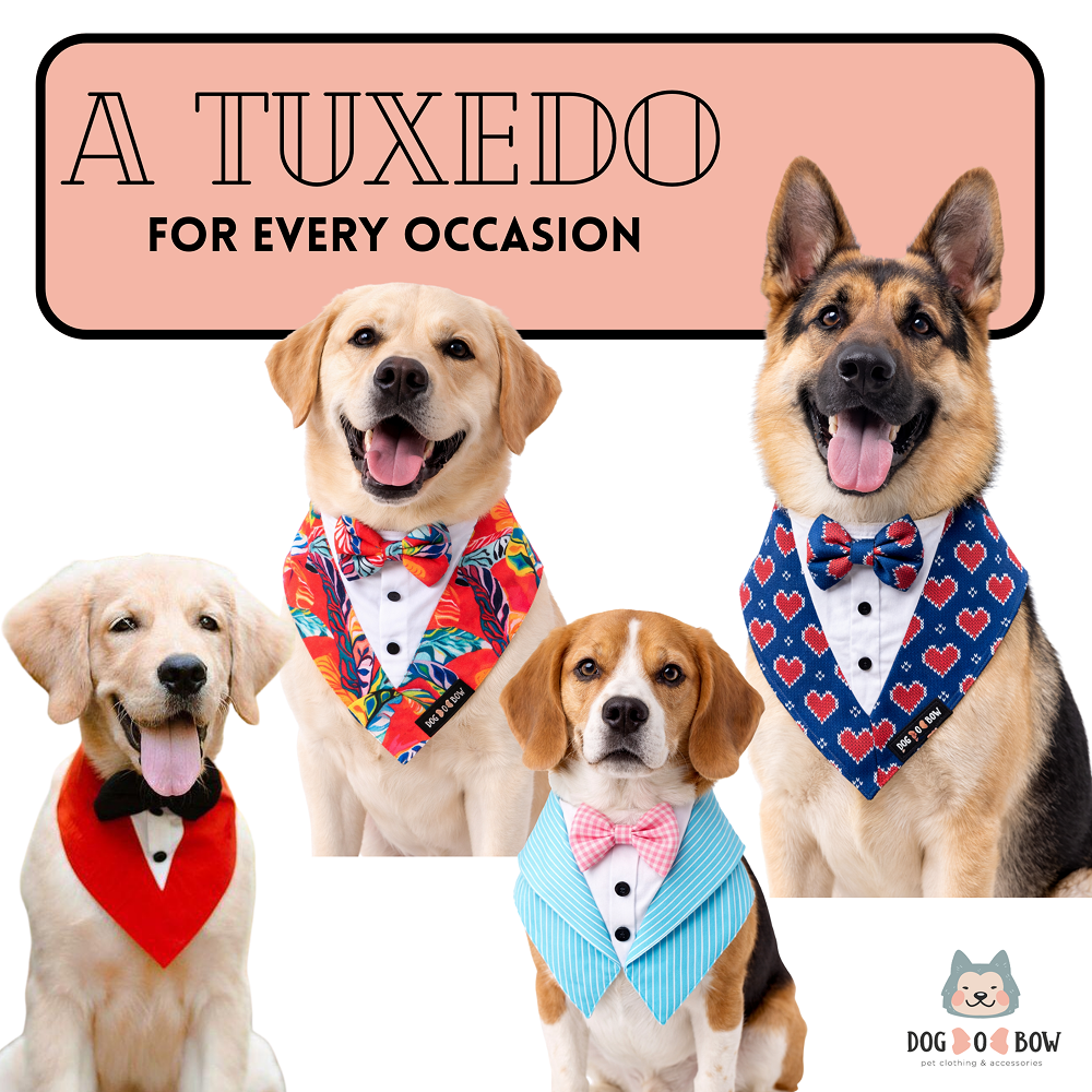 Dogobow Tuxedo Bandana for Dogs (Red) (Get a Bow Free) image 6