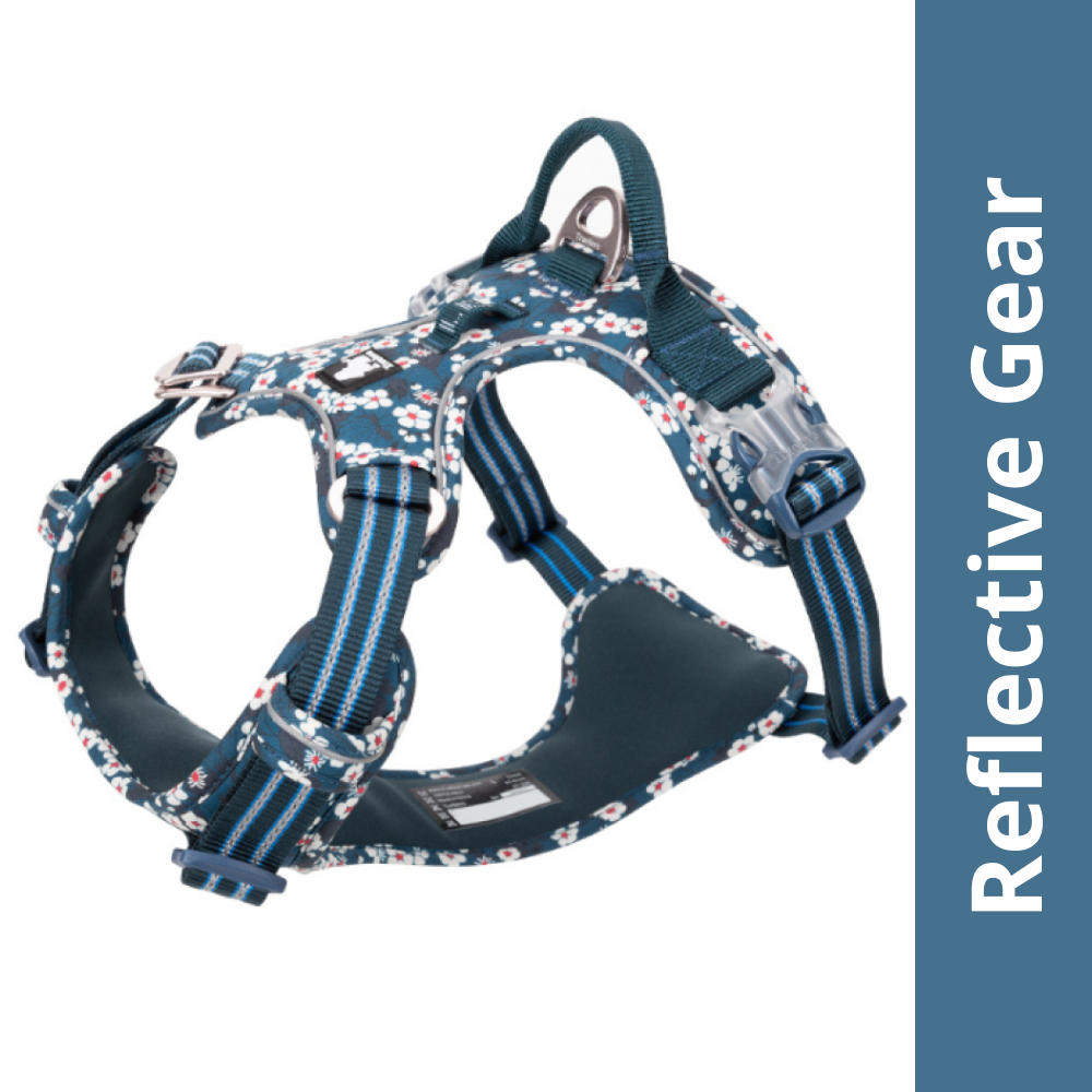 Truelove Floral No Pull 3M Reflective Harness for Dogs (Saxony Blue)