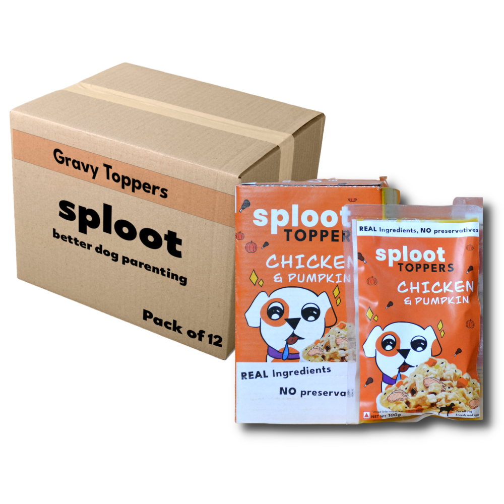 Sploot Chicken and Pumpkin Flavour Real Chicken Chunk in Gravy Dog Wet Food image 2