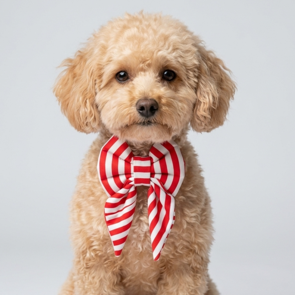 Skatrs Sailor bowtie for Dogs and Cats image 3