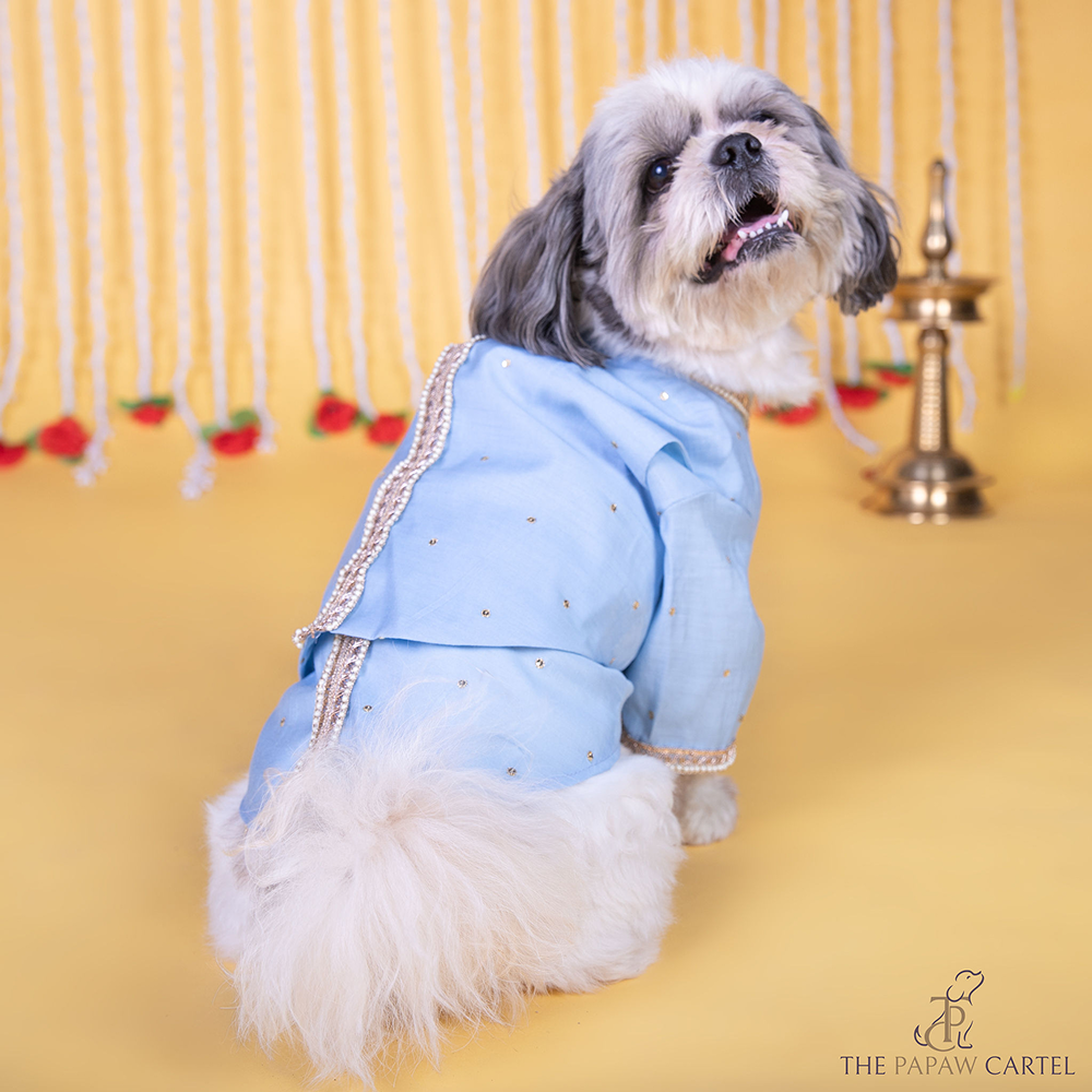 The Papaw Cartel Soft Cotton Embellished Koti Kurta for Dogs & Cats (Powder Blue)