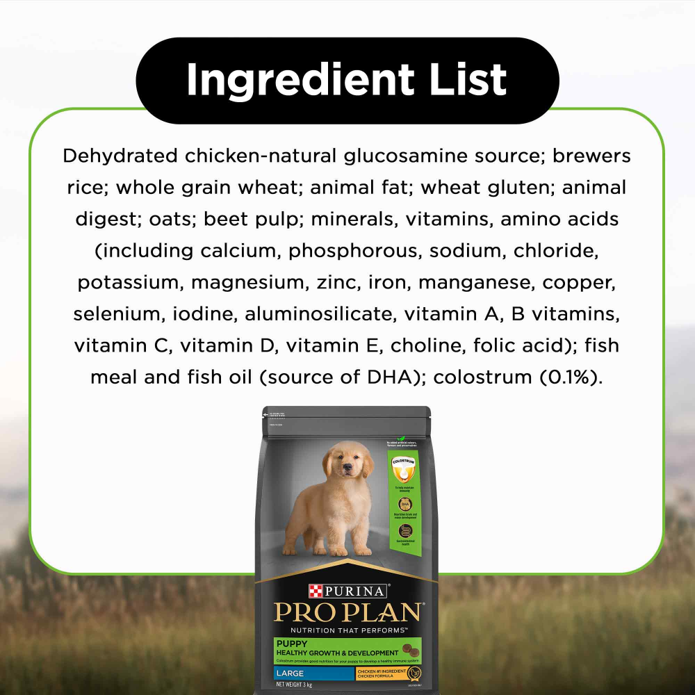 Pro Plan Chicken Large Breed Puppy Dog Dry Food (New Improved Formula) image 2