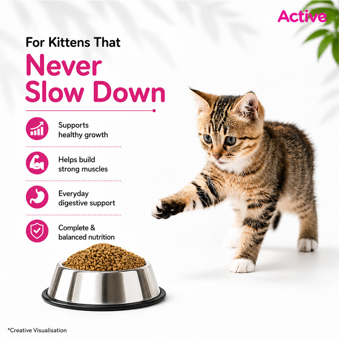 Active Ocean Fish Kitten Cat Dry Food (Buy 1 Get 1) image 3