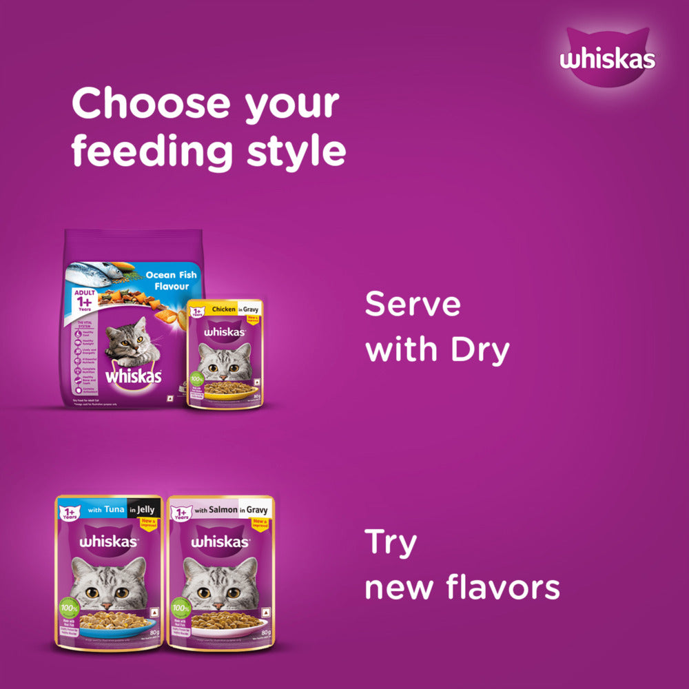 Whiskas Tuna in Jelly Meal and Chicken Gravy Adult Cat Wet Food Combo image 10