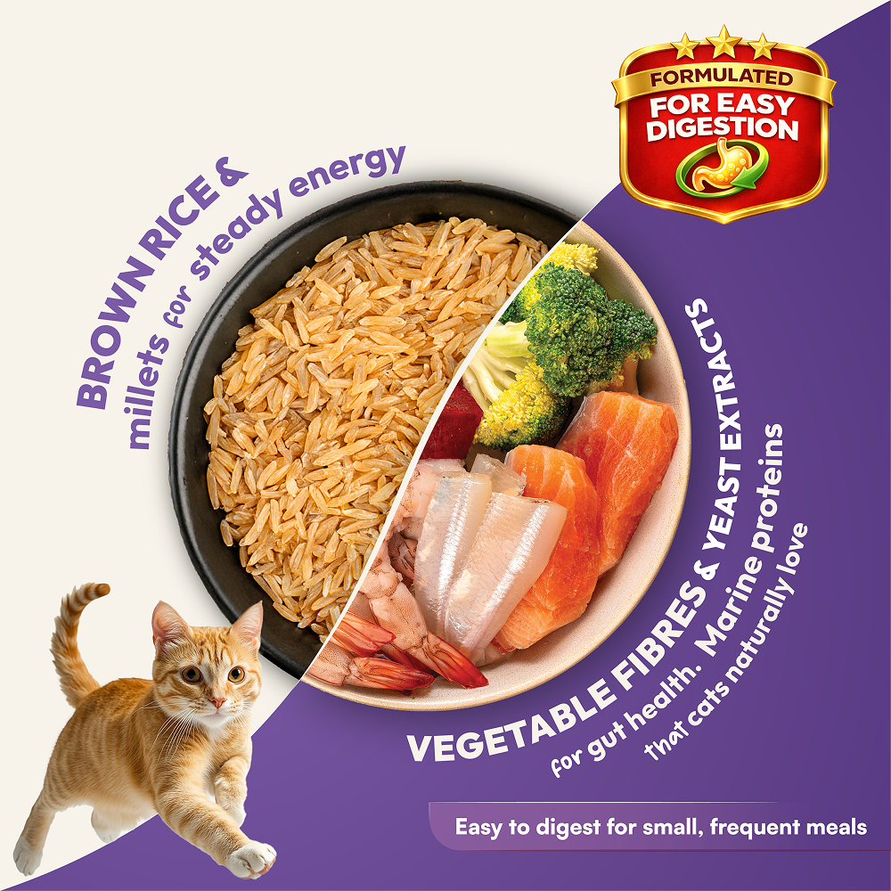 DatGud Chicken & Wild Fish Adult Cat Dry Food image 8