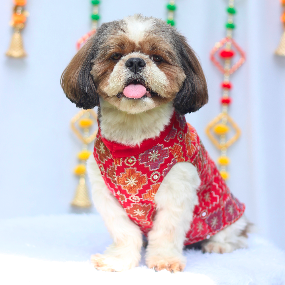 Pawgypets Festive Patola Kurta for Dogs (Red) image 1