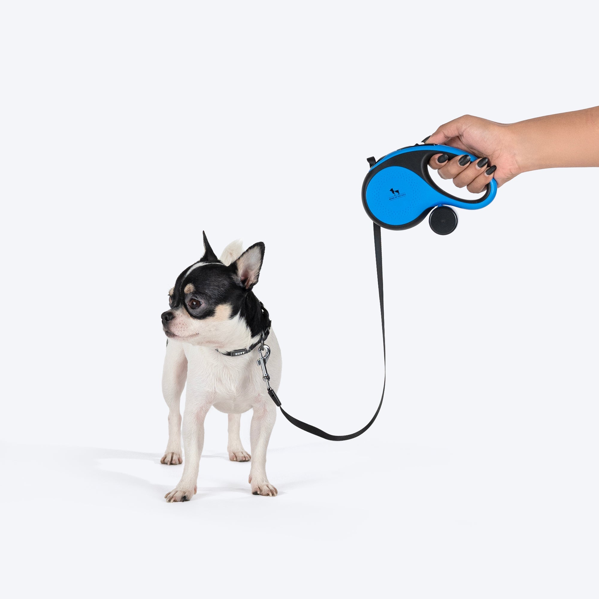 HUFT Retractable Leash With Poop Bag Dispenser for Dogs (Blue) image 2