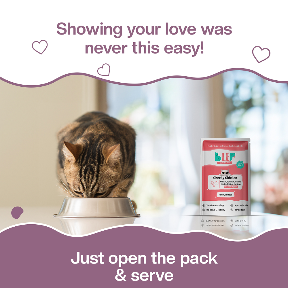 BLEP Cheeky Chicken Natural Wet Cat Food image 9