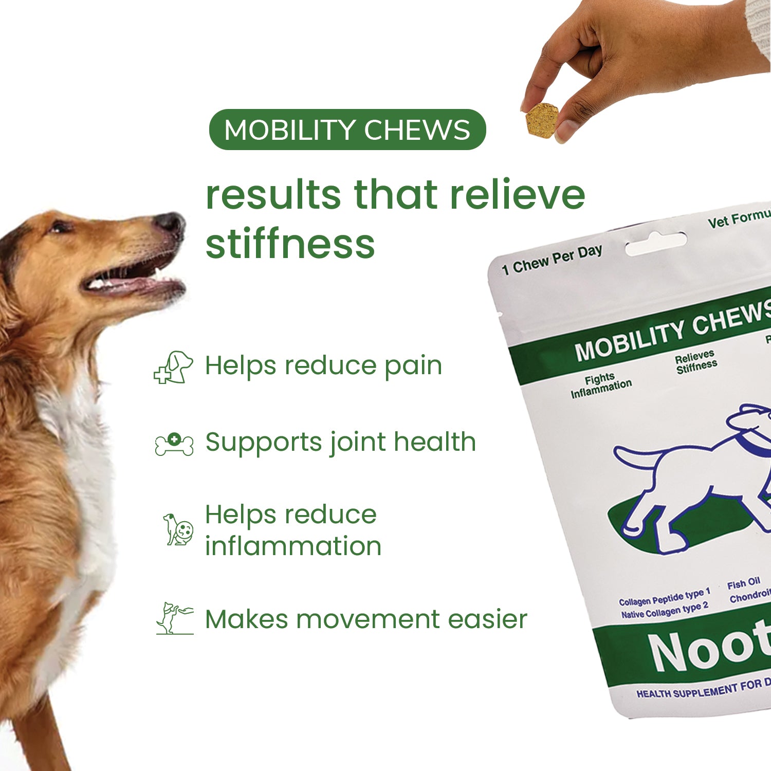 Nootie+ Joint & Bone Mobility Chews Supplement for Dogs image 2