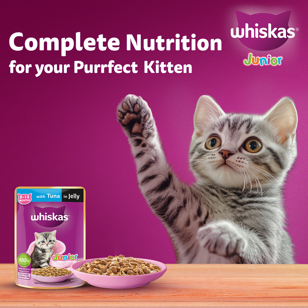 Whiskas Tuna in Jelly Kitten Cat Wet Food (80g) image 7