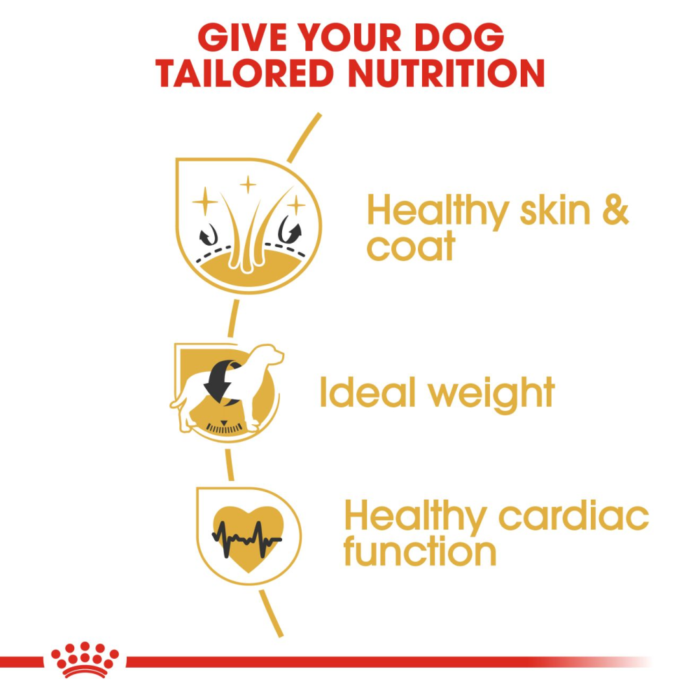 Royal Canin Cocker Adult Dog Dry Food image 2