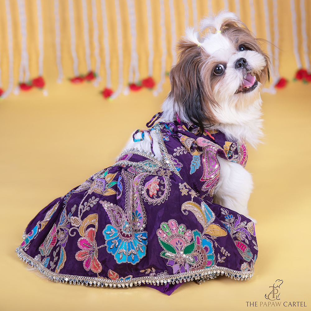 The Papaw Cartel Motif Embroidered Lehenga Choli for Dogs & Cats (Purple Paisley)