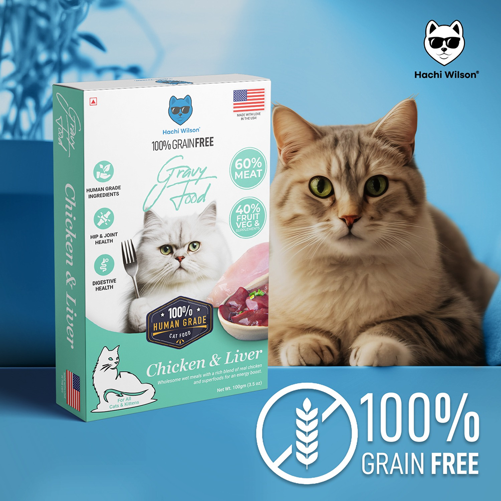 Hachi Wilson Premium Chicken and Liver Gravy Cat Wet Food image 4
