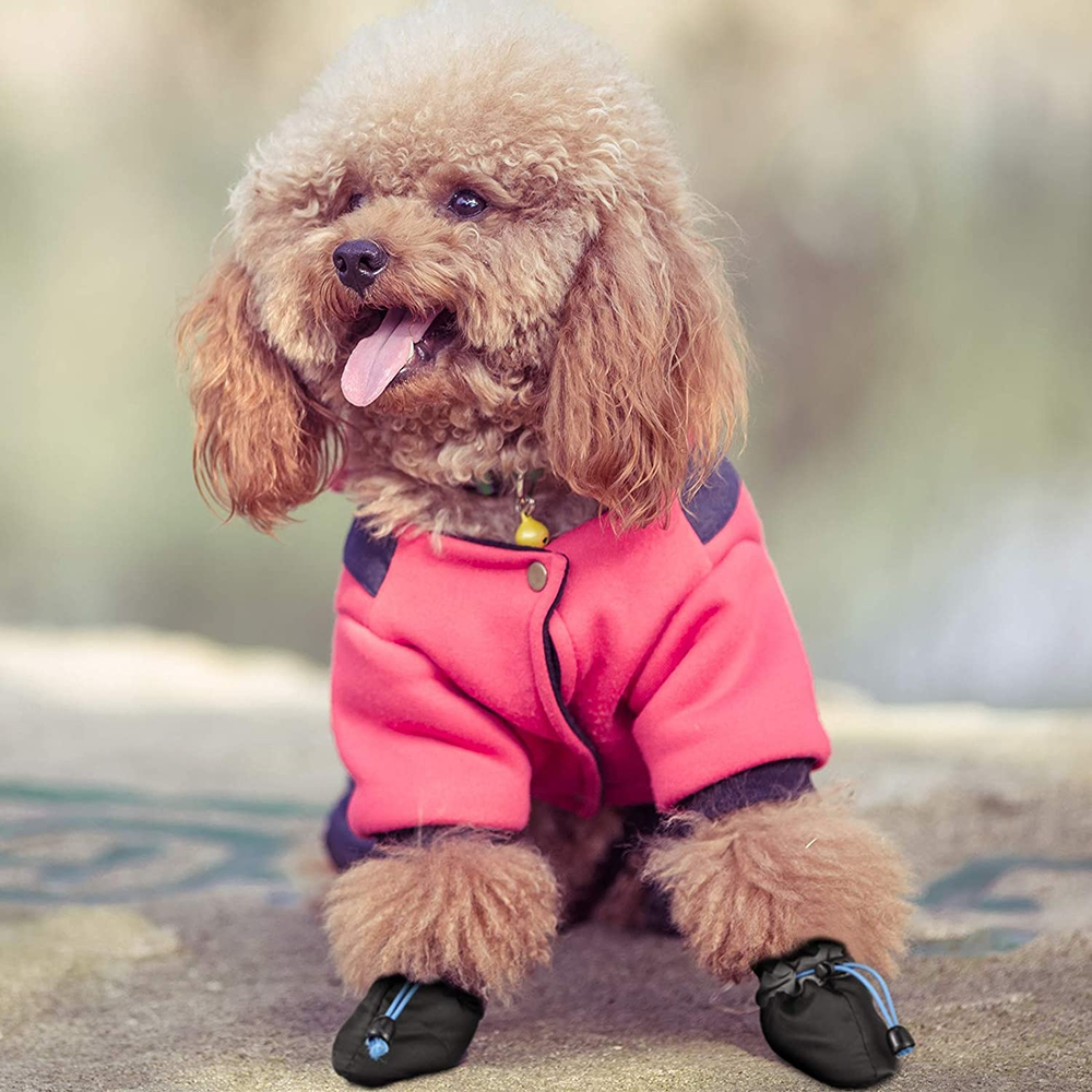 KUTKUT Paw Protector Boots for Small Dogs (Black) image 8