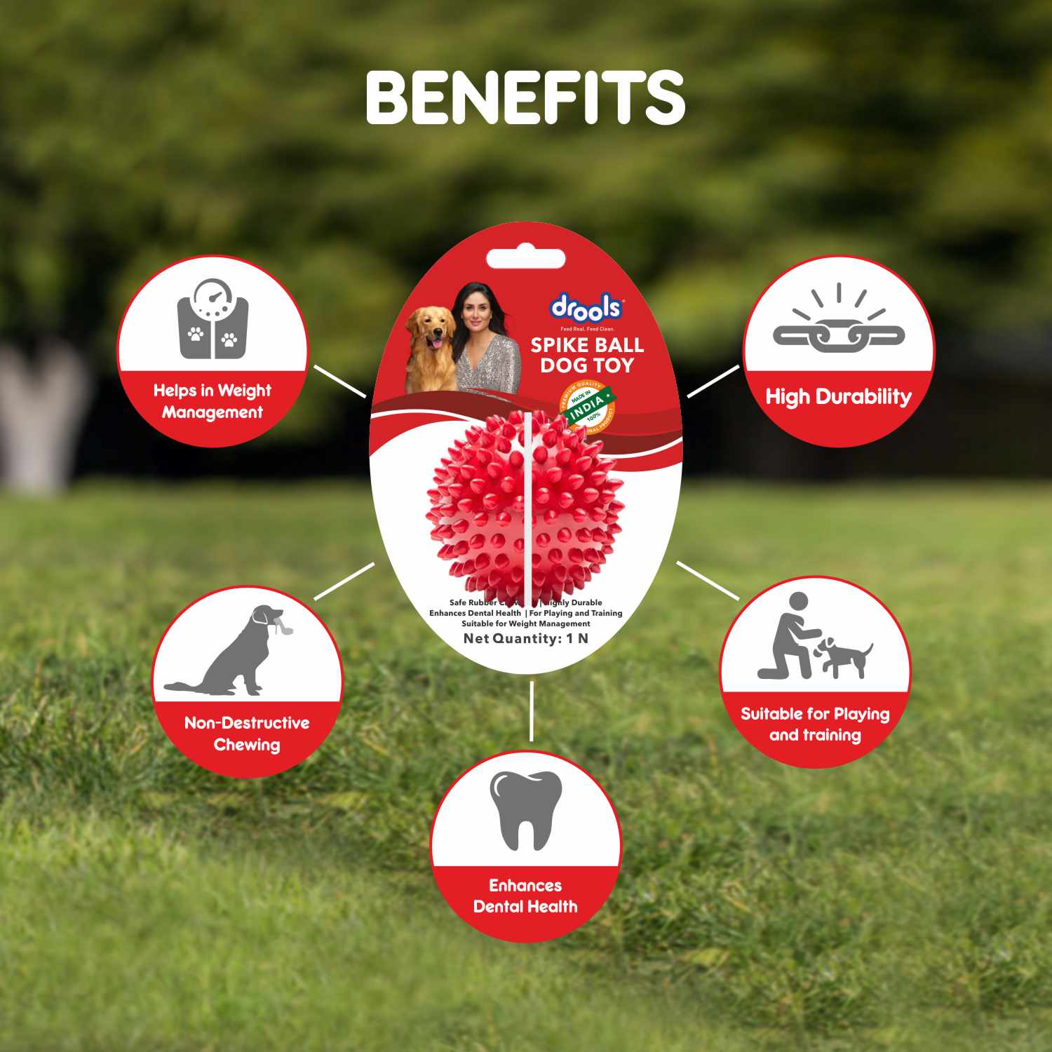Drools Non Toxic Rubber Stud Spike Hard Ball Chew Teething Toy for Puppies and Dogs | For Aggressive Chewers image 6