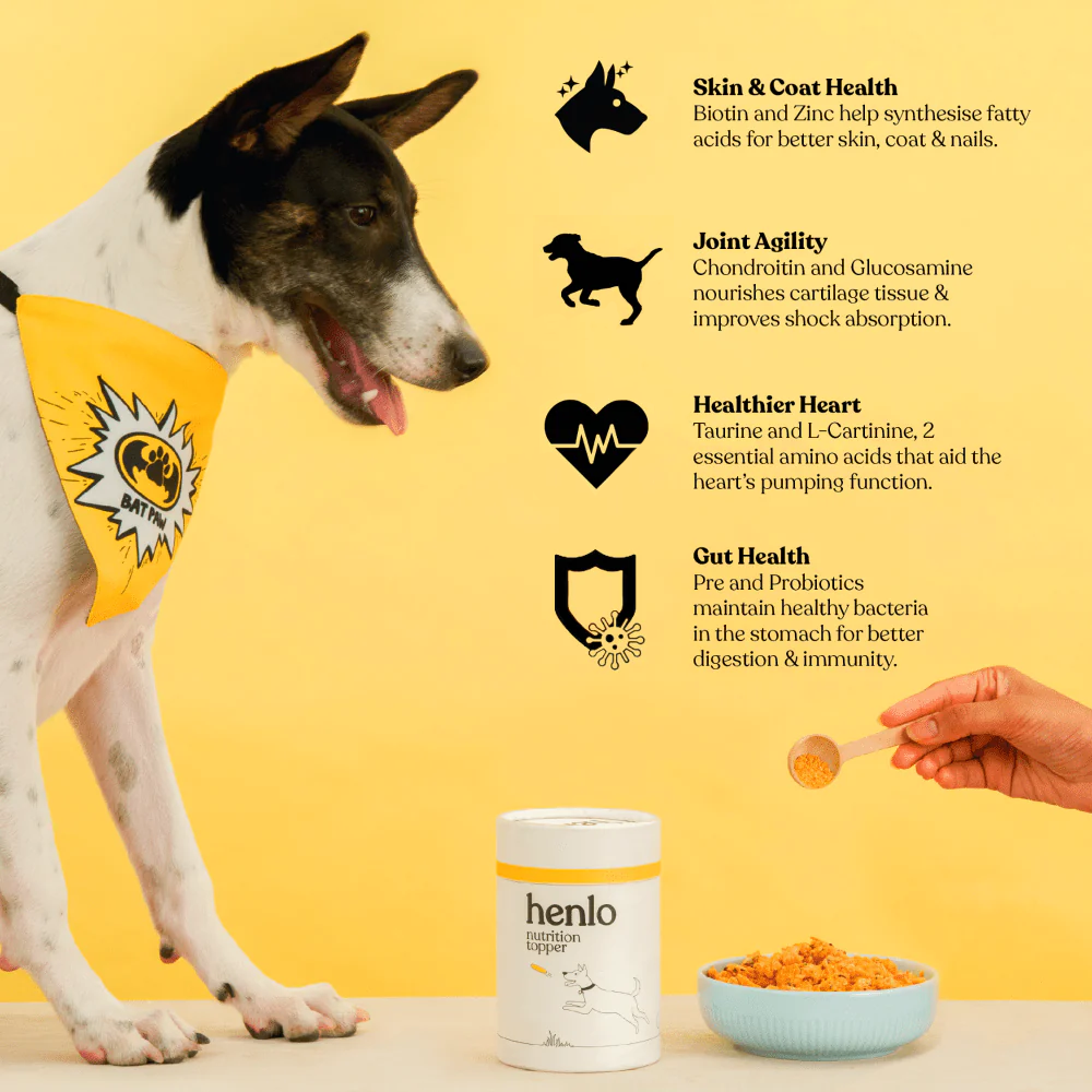 Henlo Everyday Topper for Home Cooked Food | Balanced Nutrition for Dogs image 2