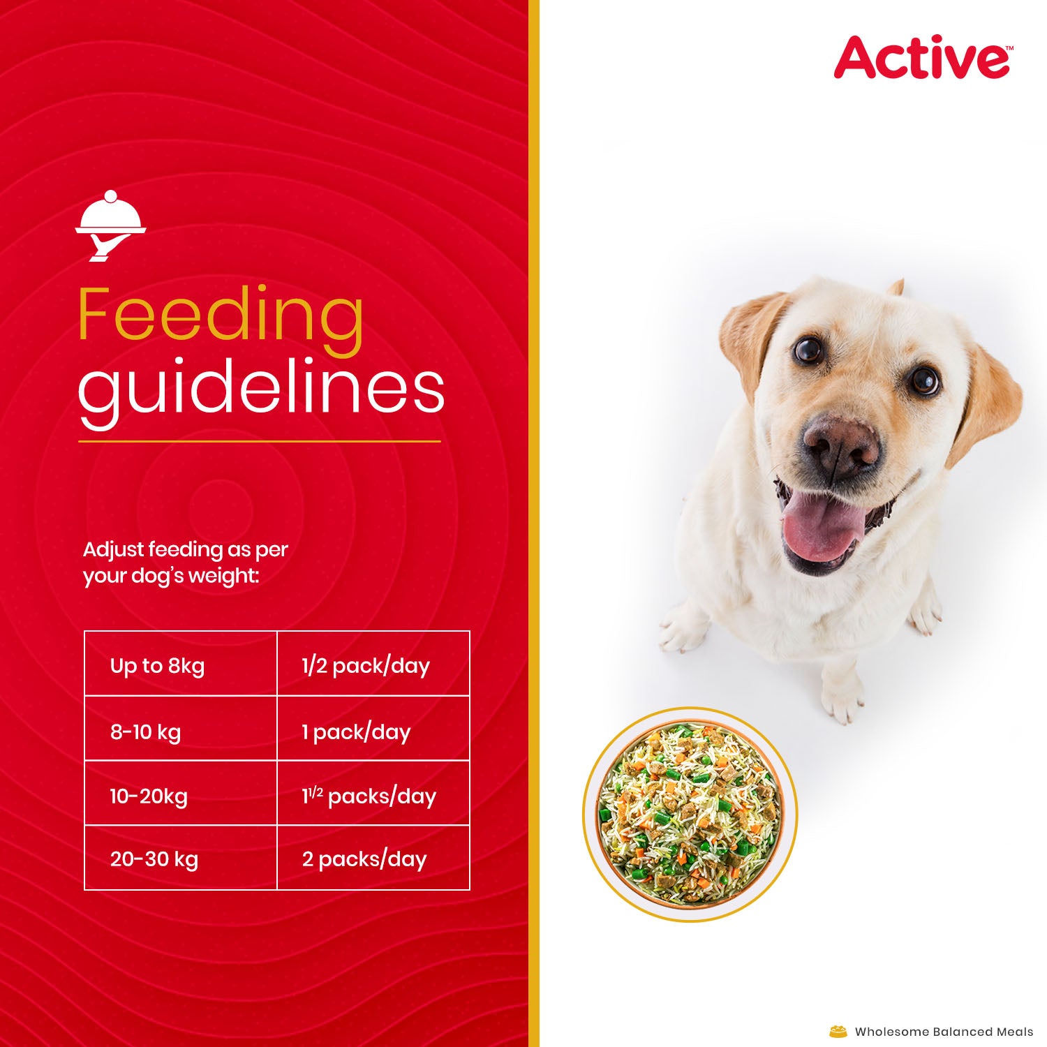 Active Chicken Biryani Fresh Food for Dogs (Buy 1 Get 1) image 6