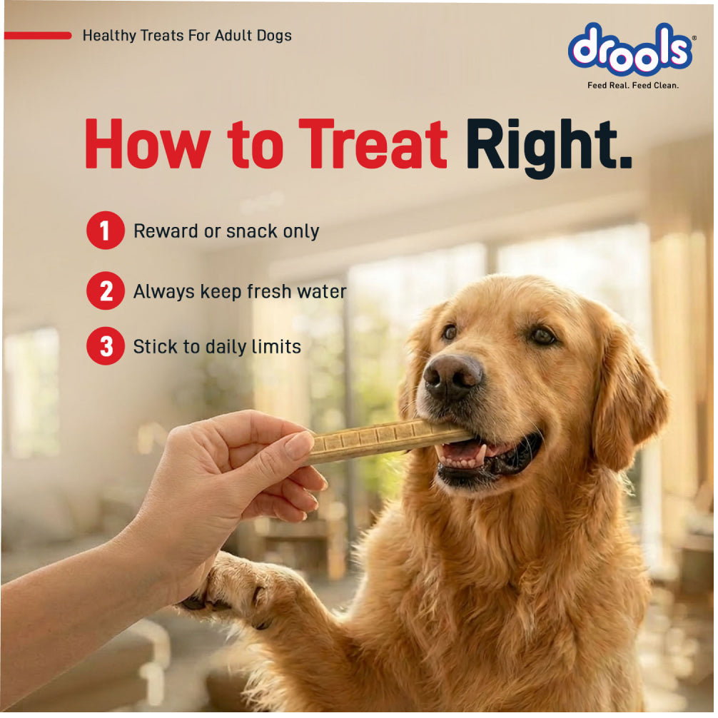Drools Chicken Liver Sticks Dog treats image 9