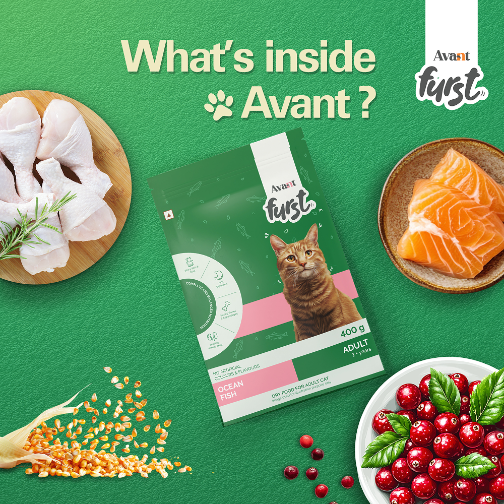 Avant Furst Ocean Fish Flavour Adult Cat Dry Food image 5