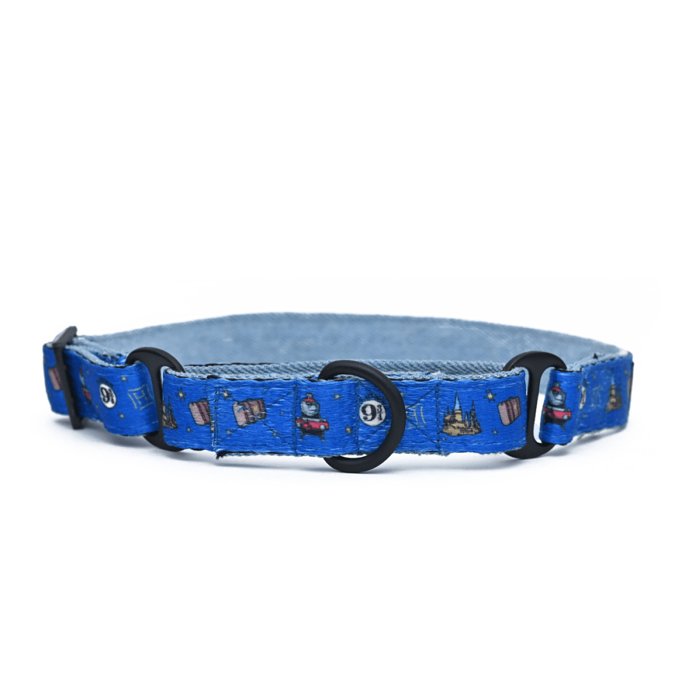 Harry Potter Welcome To Hogwarts Martingale Collar for Dogs image 2